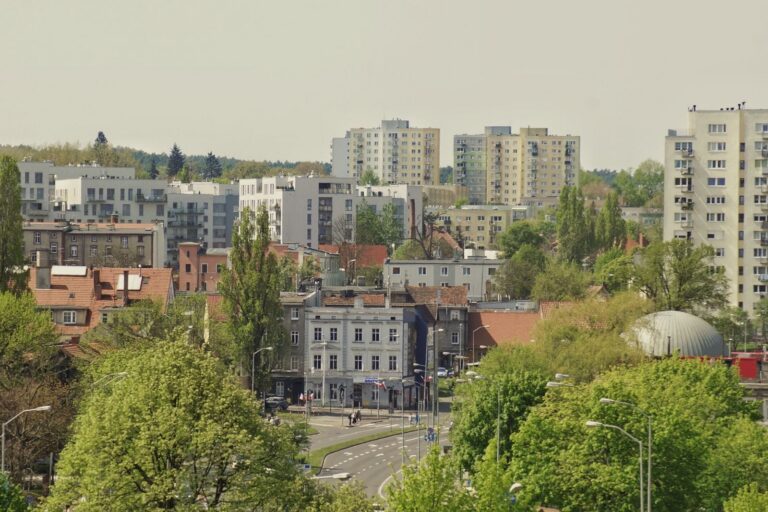 Kierowca Bolt w Zielonej Górze – praca, wymagania i zarobki